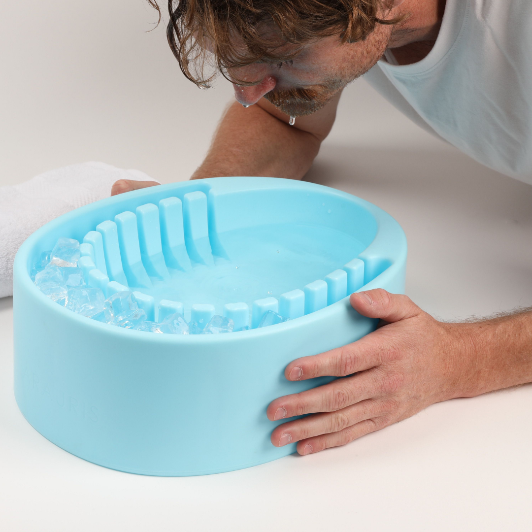 Arauris Pure - Facial Cold Plunge Bowl with Ice Chamber