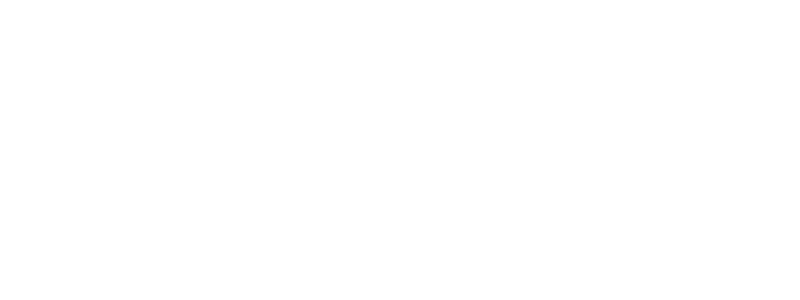 Face Plunge Company